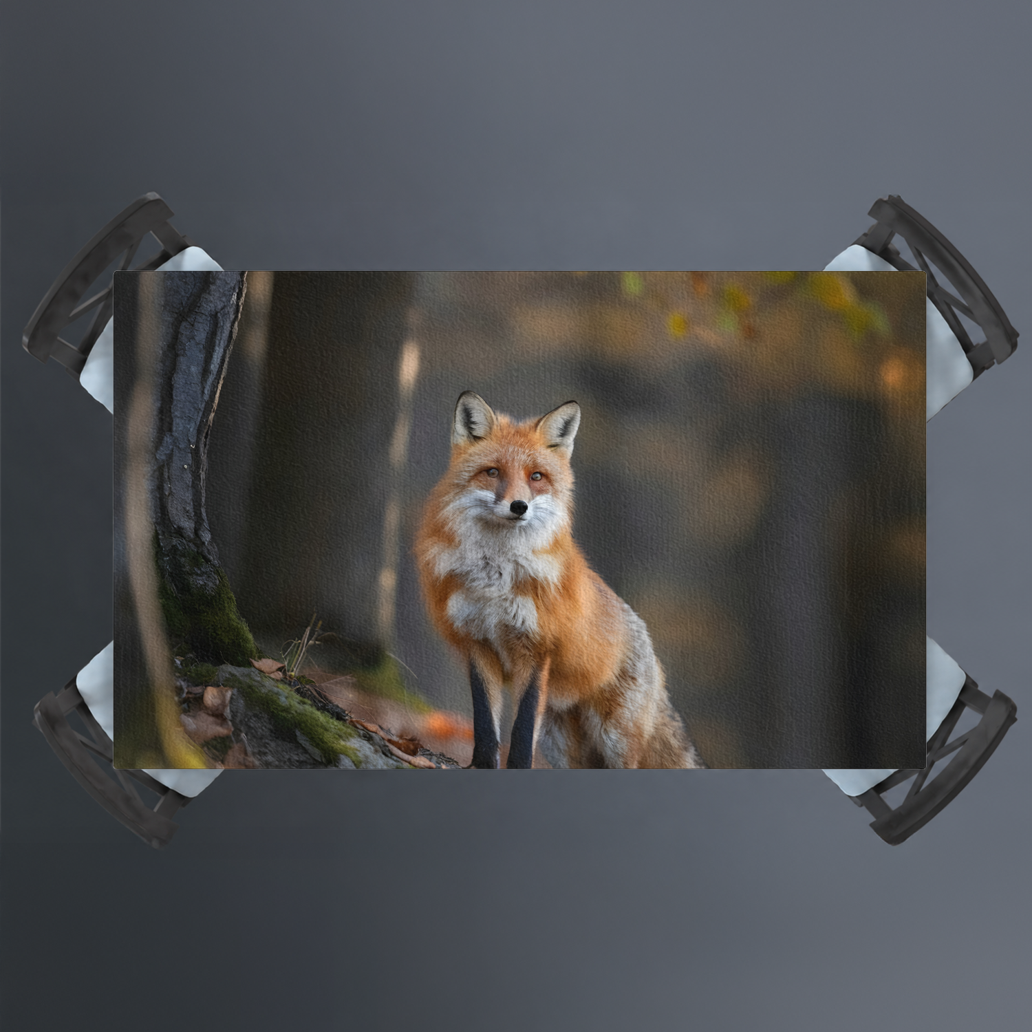0336eeac5cc968d00f221b1f6cad1c0efde17ed41105203b9b5be01ab035.png