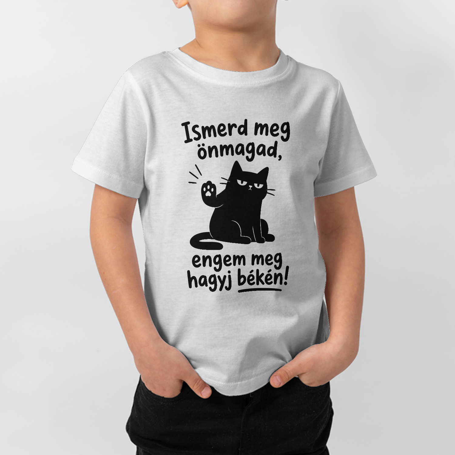 5c652f5a237bd65b38c84bb9d14934f0efcd78f053f880638291204ff951.png