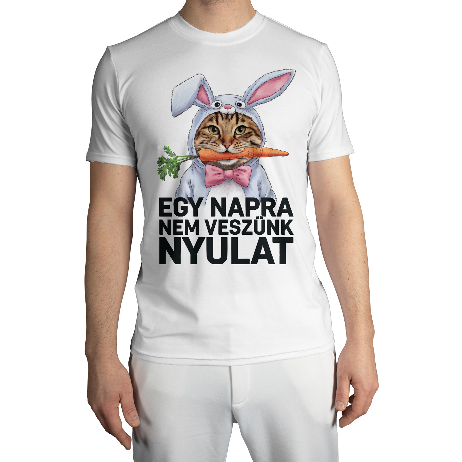 0a4e6fd74aa7214ea0044f288e12e15b5e7f94e0aa801cdfeabb46736548.png
