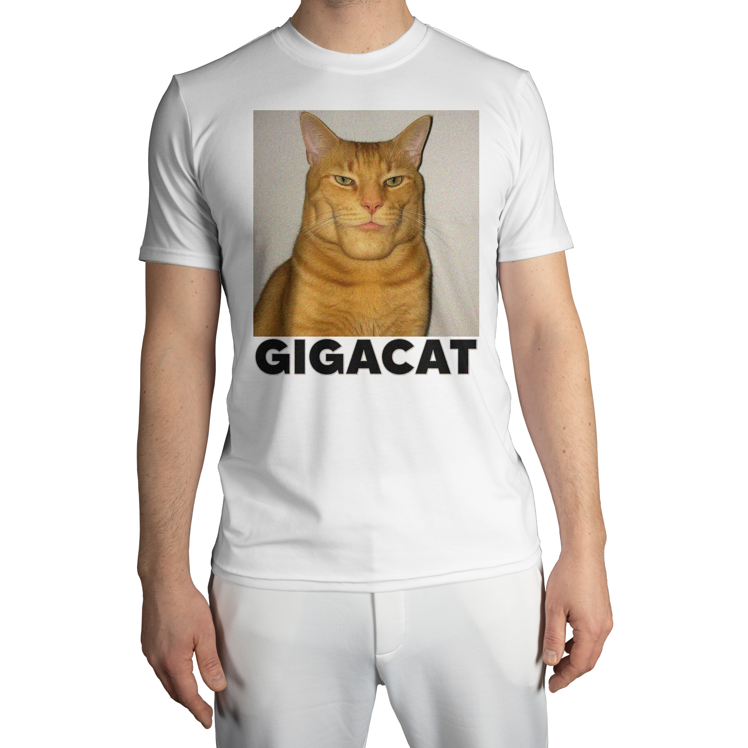 5b7a9bb6943f1f3745820c26892d893f5bdfcc799037fe4c53c968d0b1ec.png