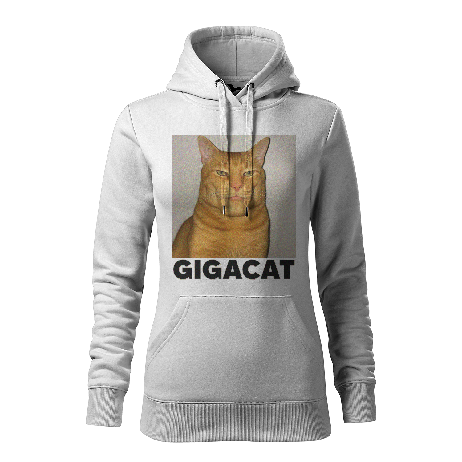 69d802618a70b47ce63a0c011074e92ba54d209e11115f2688eb90c299b4.png
