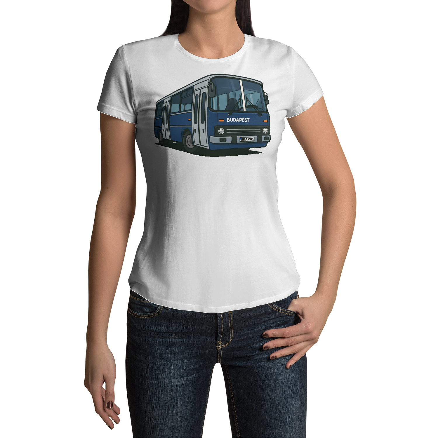 85e3e70751b57eb7c515066ae5c58c1b6c73d7b10d9b72b10d0024b41266.png