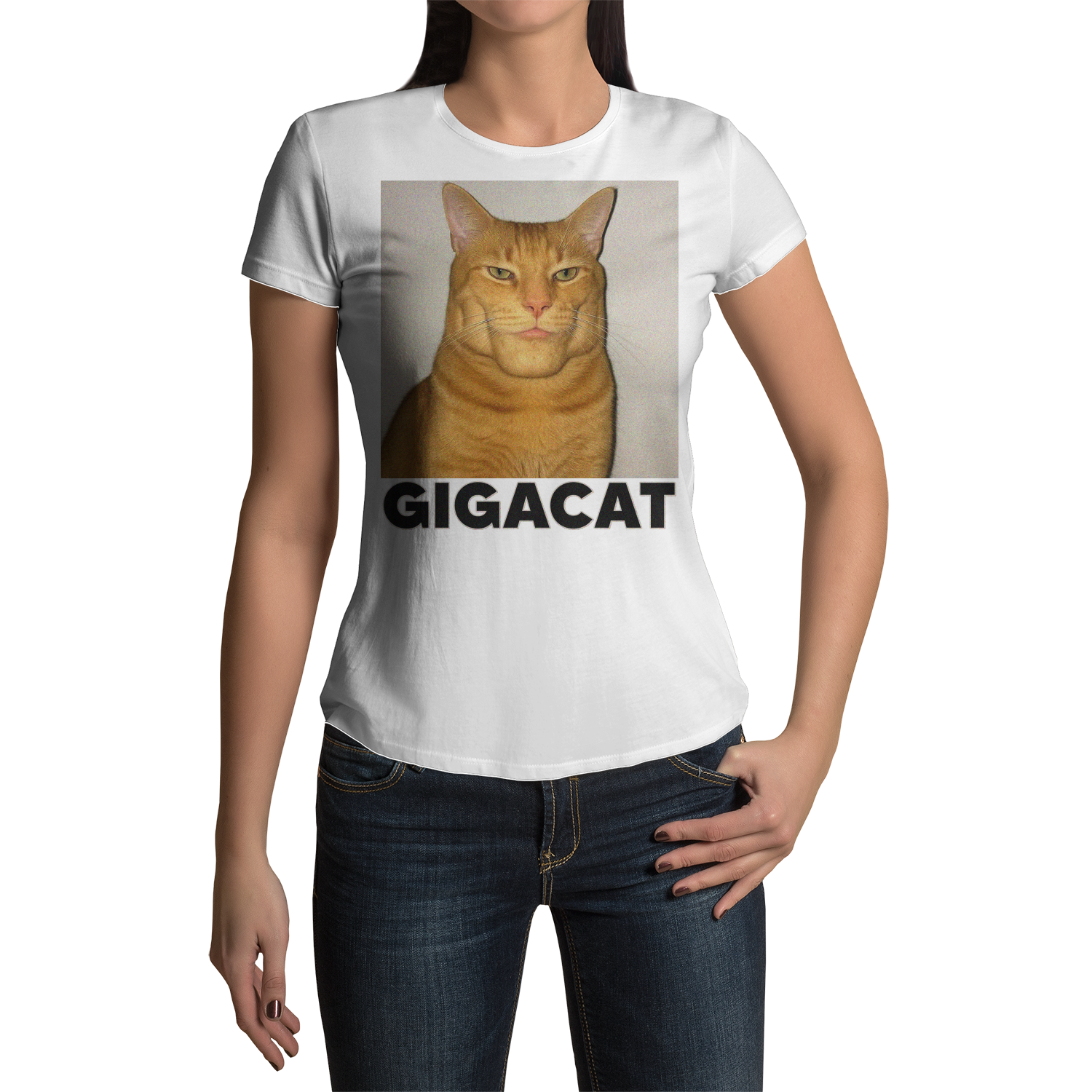 ba78456bad50c2f578a807c6ffd7c60b793da2bc29a1689f117bf4728c26.png