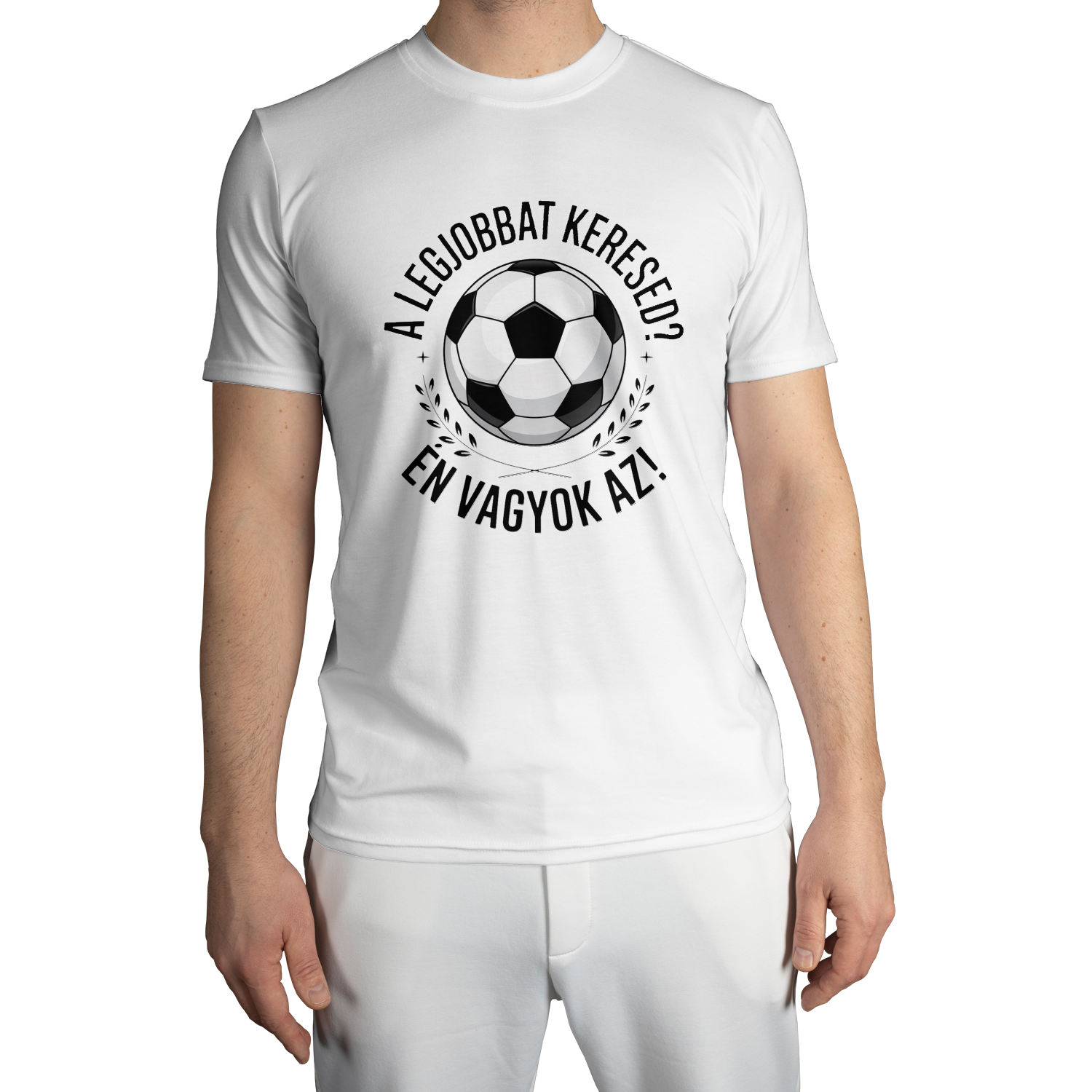 cdfa304c299d24b01feba36cc777211202c3a96fe562c838ab1a4757988e.png