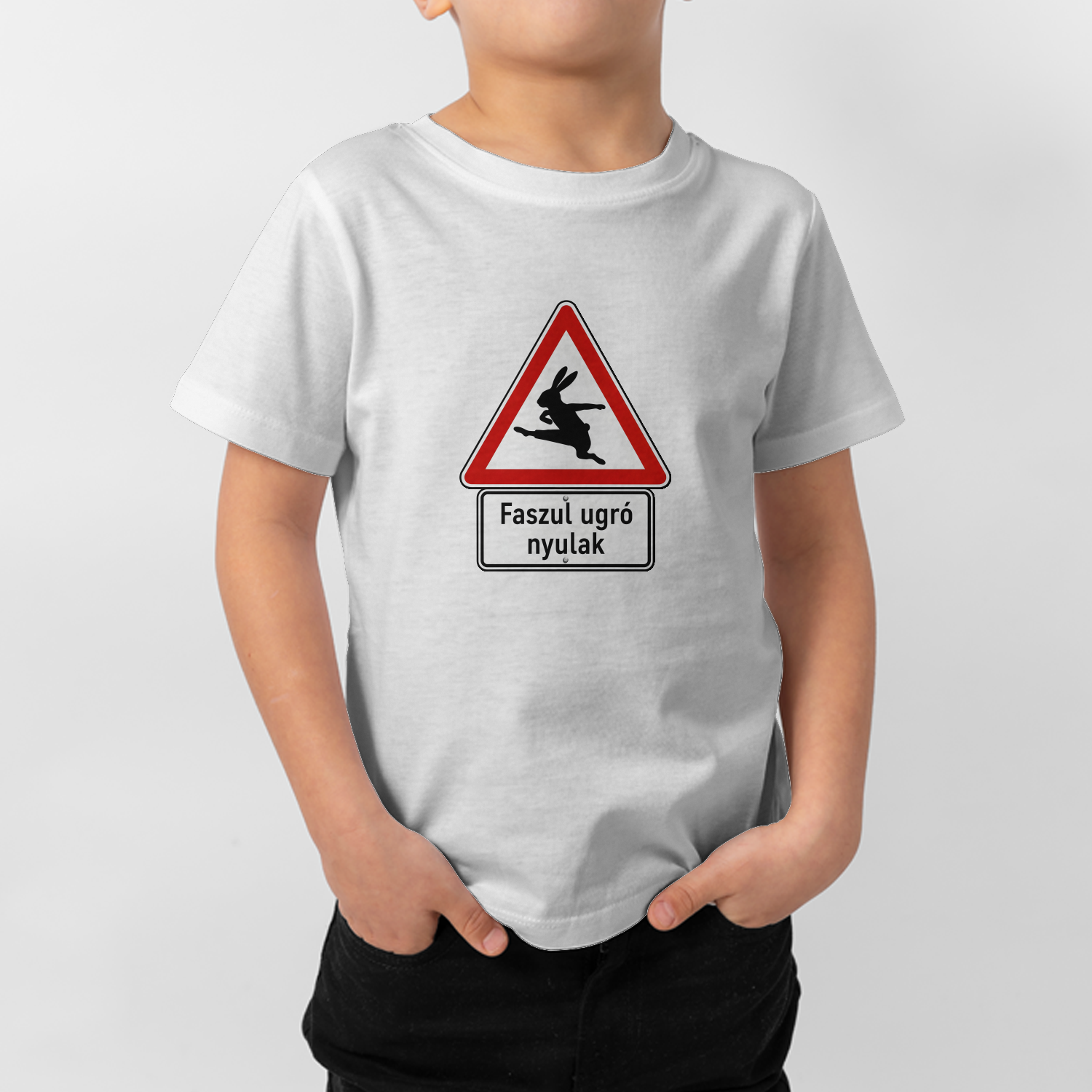 db411a049edebe8382cb15d74dbf75362c9a393d95cfc1039daa02555e62.png